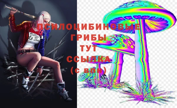 spice Армянск